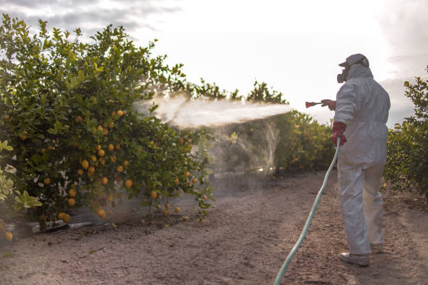 Pest Control for Restaurants in John Day, OR